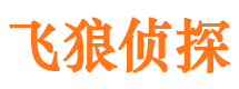 馆陶寻人公司